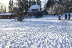 Spår i snön